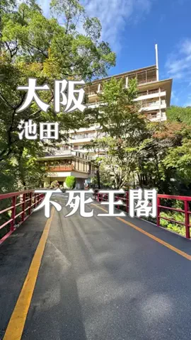 アルコールのひとのTikTok投稿