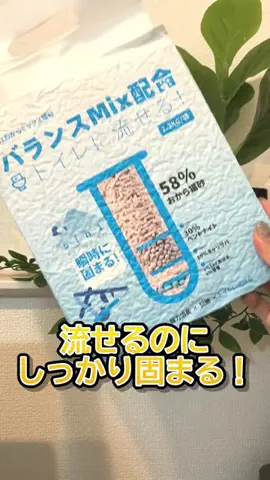 solosoloのTikTok投稿