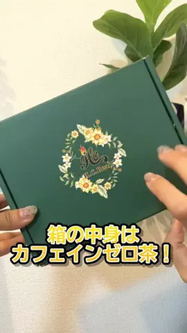 solosoloのTikTok投稿