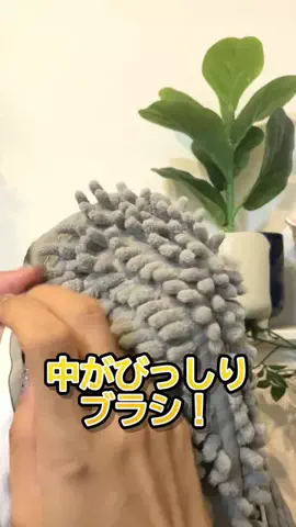 solosoloのTikTok投稿