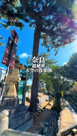 りぃ　たびグルメのTikTok投稿