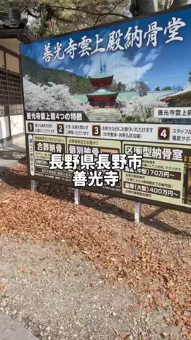 のぶ(スーパー旅行系クリエイター)のTikTok投稿
