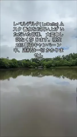 pdta9q2のTikTok投稿