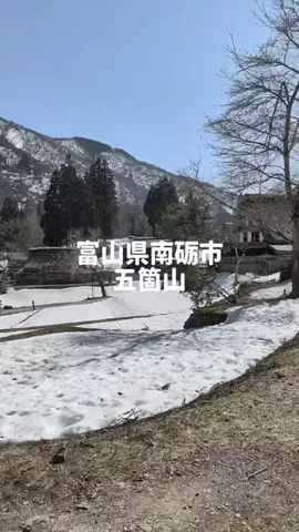 のぶ(スーパー旅行系クリエイター)のTikTok投稿