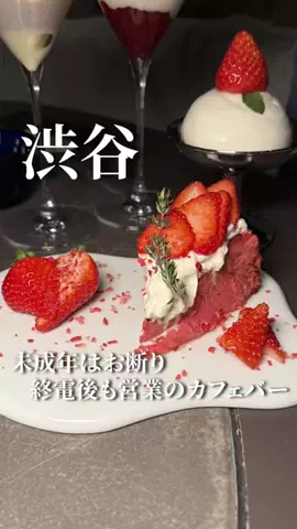 コアラグルメ|大人の食体験のTikTok投稿