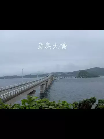 ちえぽん🧘‍♀️ヨーガ療法士のTikTok投稿