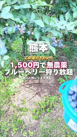 竜🦖【熊本スポット】のTikTok投稿