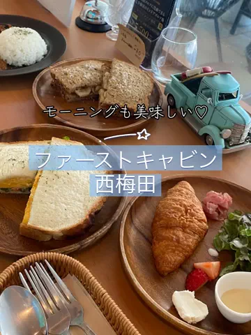 あんずのTikTok投稿