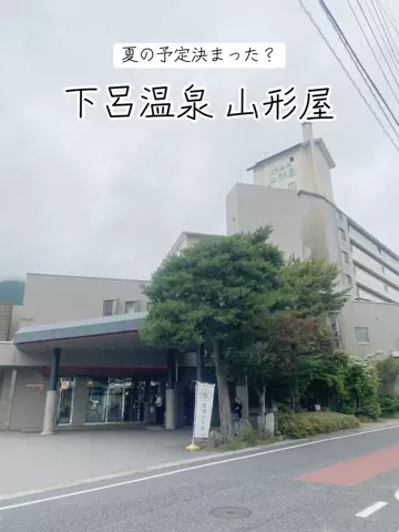 あんずのTikTok投稿