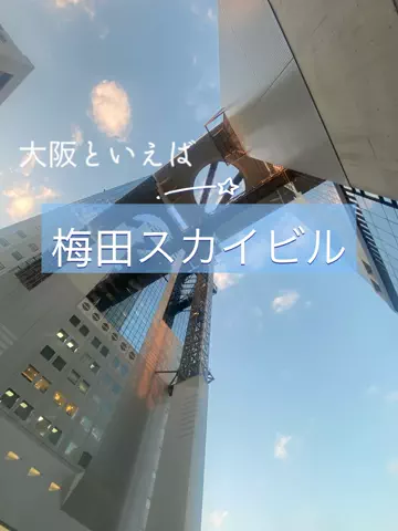 あんずのTikTok投稿