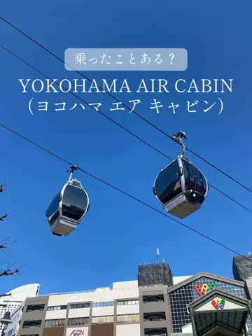 あんずのTikTok投稿