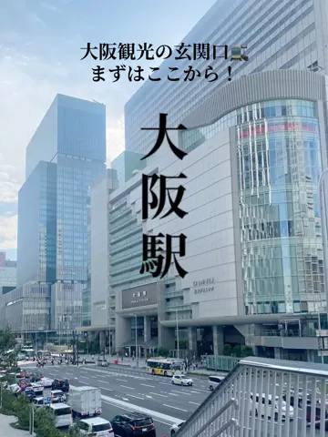 あんずのTikTok投稿