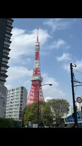 飯テロちゃん🎮😋🛩️のTikTok投稿