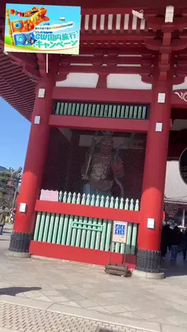 飯テロちゃん🎮😋🛩️のTikTok投稿