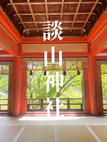 あんずのTikTok投稿