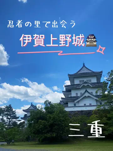あんずのTikTok投稿