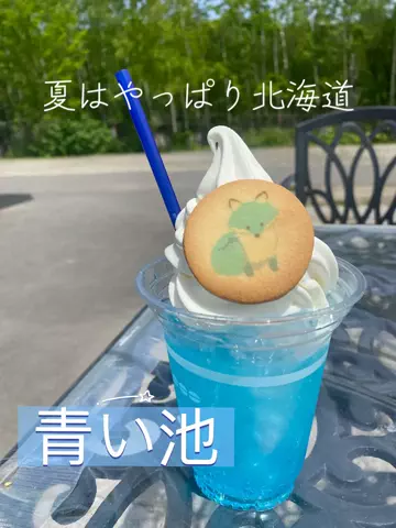 あんずのTikTok投稿