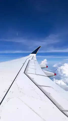 Hana🌼 | 週末ひとり旅のTikTok投稿