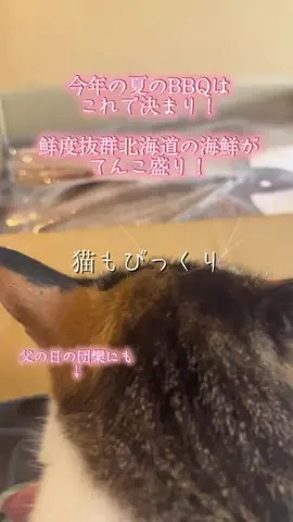 🐈もずあずちゃんねる🐈のTikTok投稿