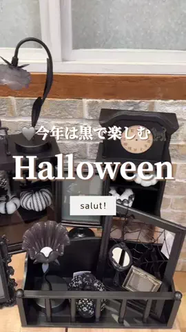 はるの𓊆 好きを見逃さない新作雑貨速報 𓊇のTikTok投稿