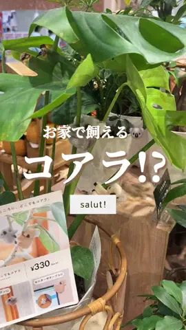 はるの𓊆 好きを見逃さない新作雑貨速報 𓊇のTikTok投稿