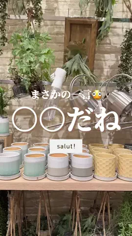 はるの𓊆 好きを見逃さない新作雑貨速報 𓊇のTikTok投稿
