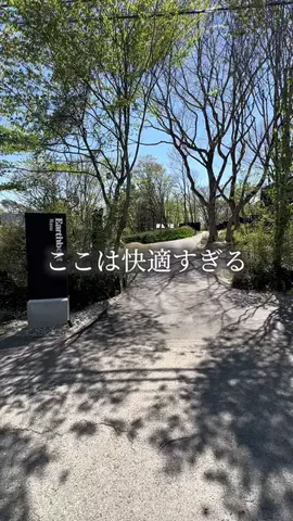 shiga_gourmet_pipi_selectのTikTok投稿