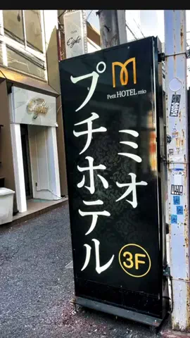 Yasuo Ikarashi PhotographerのTikTok投稿