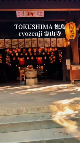 Yasuo Ikarashi PhotographerのTikTok投稿
