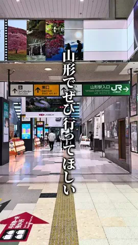 山形カフェ&グルメ | なえカフェのTikTok投稿