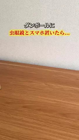 はく｜ちょいズル暮らしハックのTikTok投稿