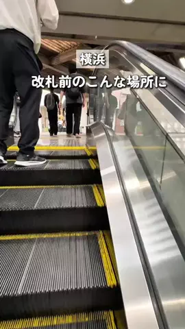 あじんころ||横浜北部周辺ガイドのTikTok投稿