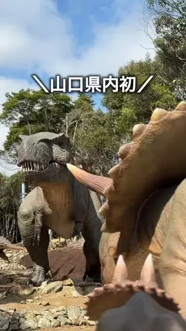 わいすぽ🐡山口県“見るだけ”おでかけ攻略のTikTok投稿