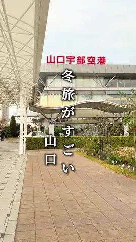 わいすぽ🐡山口県“見るだけ”おでかけ攻略のTikTok投稿