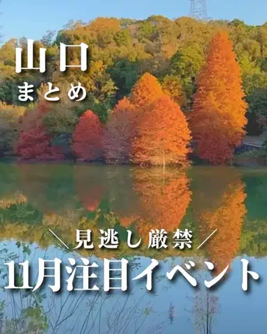 わいすぽ🐡山口県“見るだけ”おでかけ攻略のTikTok投稿