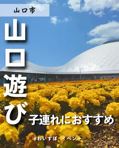 わいすぽ🐡山口県“見るだけ”おでかけ攻略のTikTok投稿