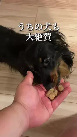 焼きビーフンのTikTok投稿