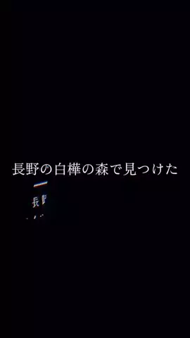 焼きビーフンのTikTok投稿
