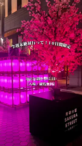 おこめ🎀 20代女子のトレンド会議室のTikTok投稿