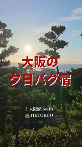 旅食|コスパ最強宿ホテルのTikTok投稿