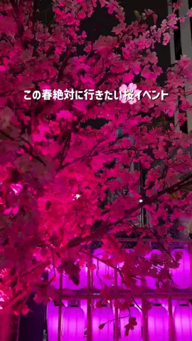 いまトピ｜最新トレンド情報発信中！のTikTok投稿