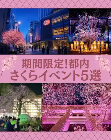 いまトピ｜最新トレンド情報発信中！のTikTok投稿