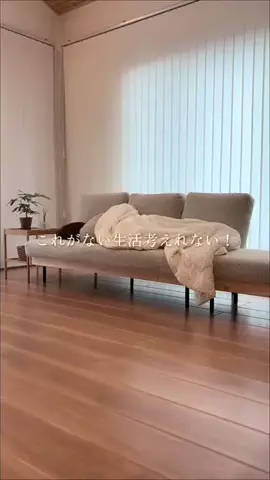 せり⌇キレイを守り続ける快適な暮らしのTikTok投稿