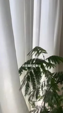 stmroomのTikTok投稿