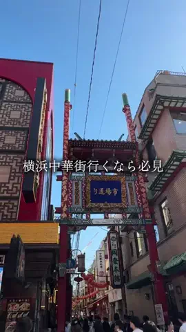 ごごぐるのTikTok投稿