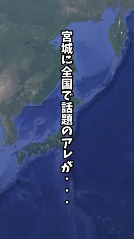 宮城情報局【イベント|トレンド|グルメ】のTikTok投稿