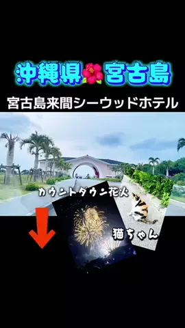 paricoyanのTikTok投稿