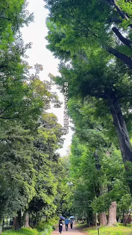 RINKO ⌇ 東京カフェ＆グルメのTikTok投稿