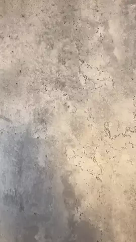 おうどんのTikTok投稿