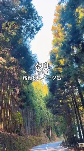 りぃ　たびグルメのTikTok投稿
